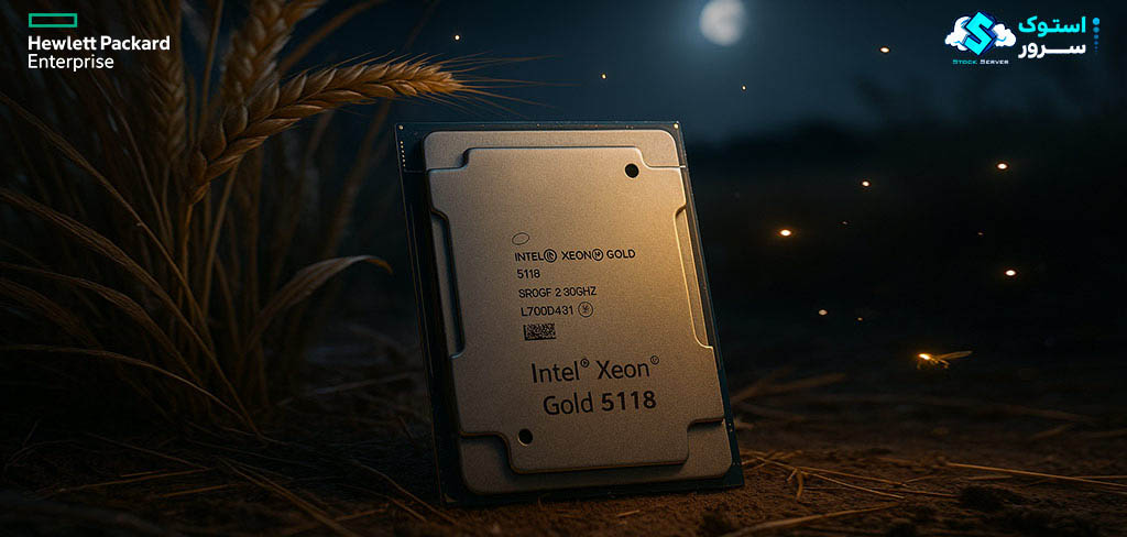 12-core Intel Xeon Gold 5118 CPU operating at 2.30 GHz base and up to 3.20 GHz turbo, featuring 16.5 MB L3 cache and 105 W thermal design power.