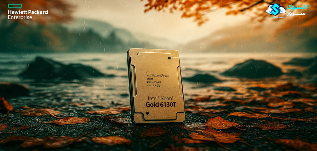 Intel Xeon Gold 6130T server-grade chip supporting DDR4-2666 memory.