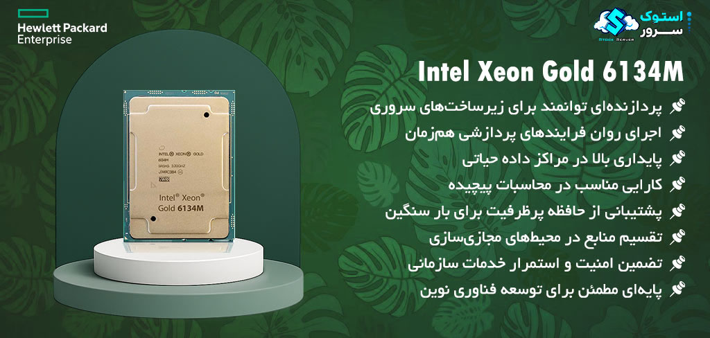8-core Intel® Xeon® Gold 6134M CPU with 16 threads and 24.75 MB L3 cache