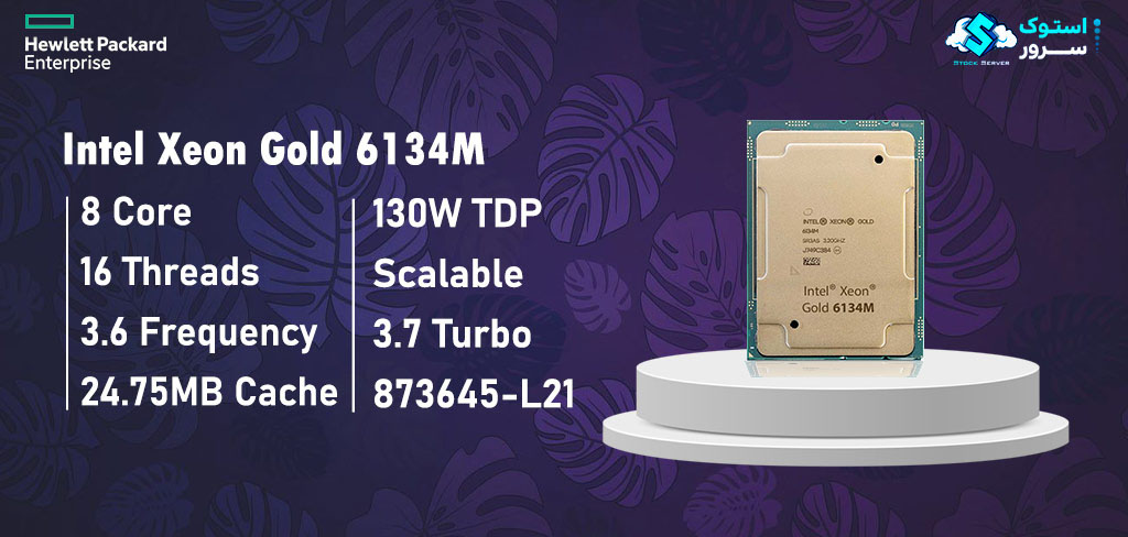 Intel® Xeon® Gold 6134M processor with 8 cores and base frequency of 3.20 GHz